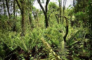 Cabaña Agrreste Bed & Breakfast