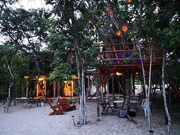 Iguana Rana Cabins Bacalar