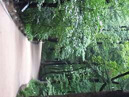 Odae Mountain Golden Light Pension