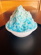 Mt.Fuji Fujinomiya Trail The New 7th Station Goraikousansou