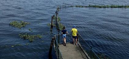 Backwater Ripples Kumarakom