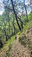 Kali Tibba Resort