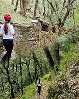 Kali Tibba Resort