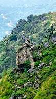 Kali Tibba Resort