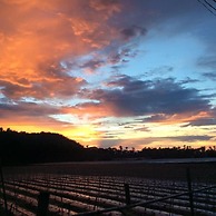 Dongguang Zhixing Homestay