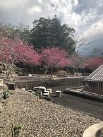 Dongguang Zhixing Homestay