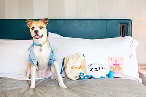 Canopy by Hilton Charlotte Southpark