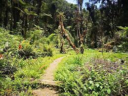 Iyok Ami Hostel Tours