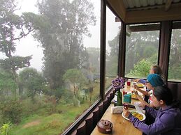 Iyok Ami Hostel Tours