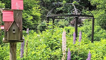 Bayfield Boutique B&B