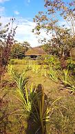 La Penal Amazon Lodge
