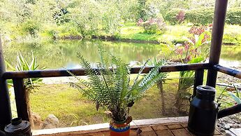 La Penal Amazon Lodge