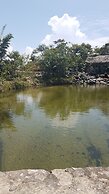 La Penal Amazon Lodge
