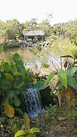 La Penal Amazon Lodge