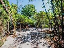 Nido de Colibrí Hotel Relax