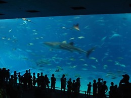 Nel Beach Rosso & Indigo