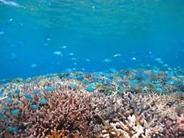 Nel Beach Rosso & Indigo