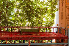 New Dap Hostel in Grape Town