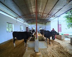 Ranthambore Bagh Palace