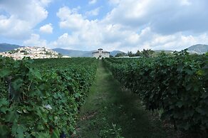 Cincinnato Wine Resort