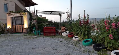 DİRİLİŞ BANARYA PANSİYON