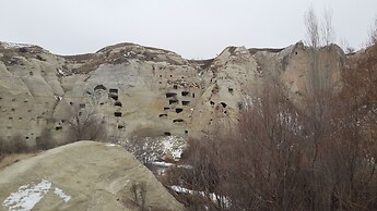 DİRİLİŞ BANARYA PANSİYON