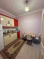 DİRİLİŞ BANARYA PANSİYON