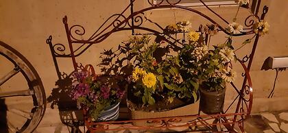 DİRİLİŞ BANARYA PANSİYON