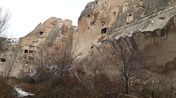 DİRİLİŞ BANARYA PANSİYON