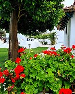 Oryza Guest House & Suites