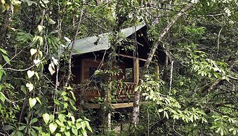 Campamento Rio Lacanja