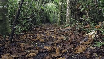 Campamento Rio Lacanja