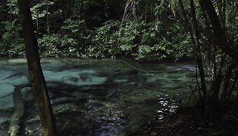 Campamento Rio Lacanja
