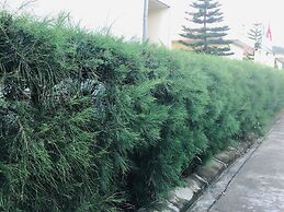 Co To Center Homestay