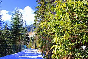 Foleya Mountain Resort