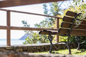 La Sterlizia di Santa Croce