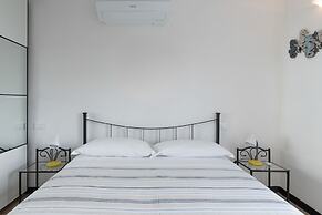 La Sterlizia di Santa Croce