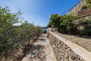 La Sterlizia di Santa Croce