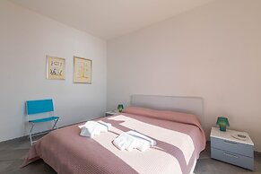 La Sterlizia di Santa Croce