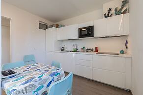 La Sterlizia di Santa Croce