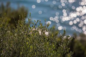 La Sterlizia di Santa Croce