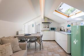 La Sterlizia di Santa Croce