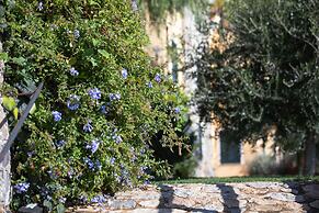 La Sterlizia di Santa Croce