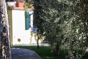 La Sterlizia di Santa Croce