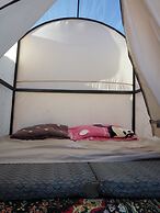 Al sultan bedouin camp