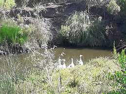 Bungalows Punta Colorada