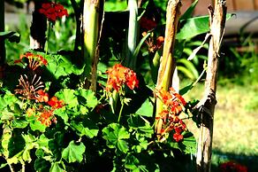 Bungalows Punta Colorada