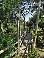 Bungalows Punta Colorada