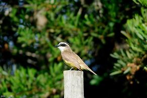 Bungalows Punta Colorada