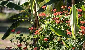 Bungalows Punta Colorada